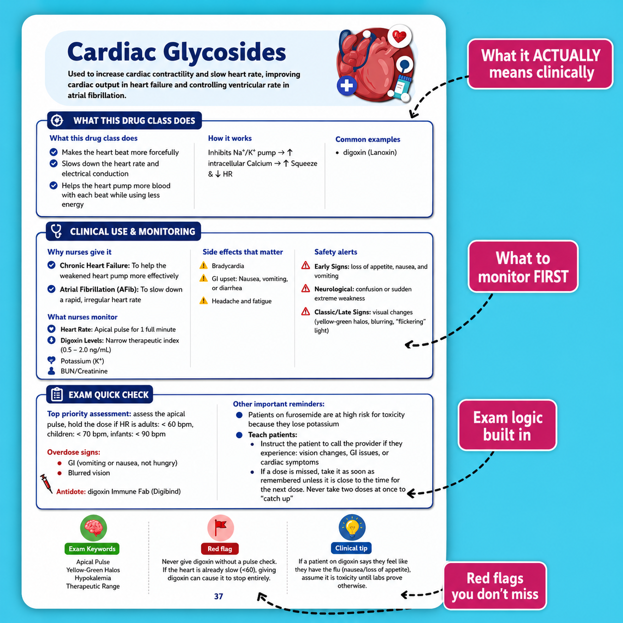 The Essential Pharmacology Guide