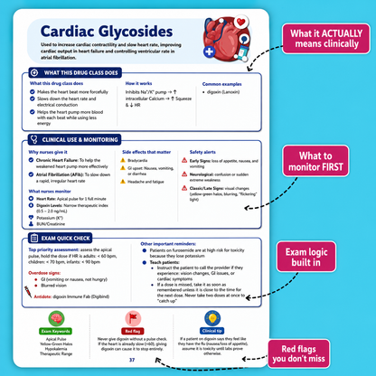 The Essential Pharmacology Guide